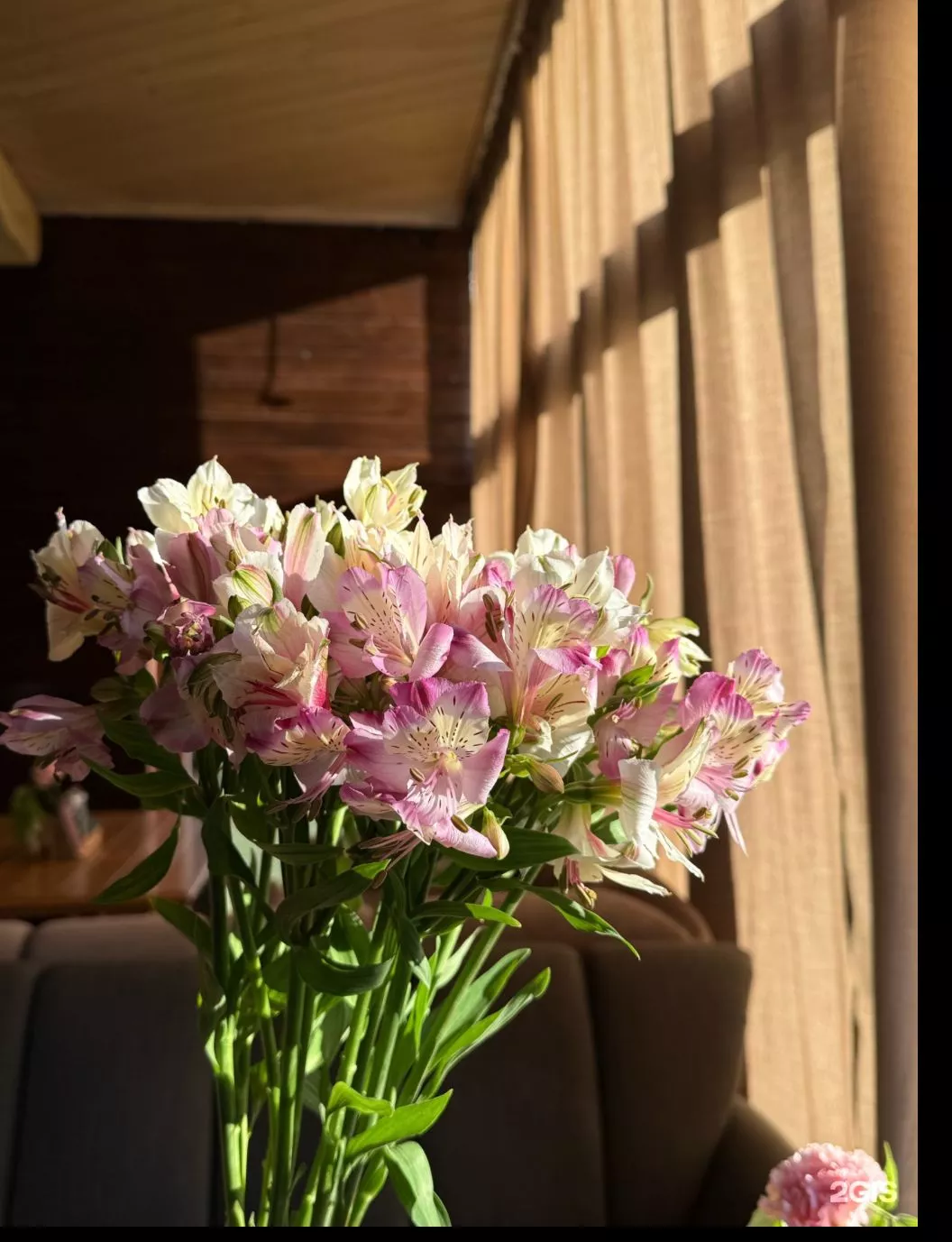 comment-image
